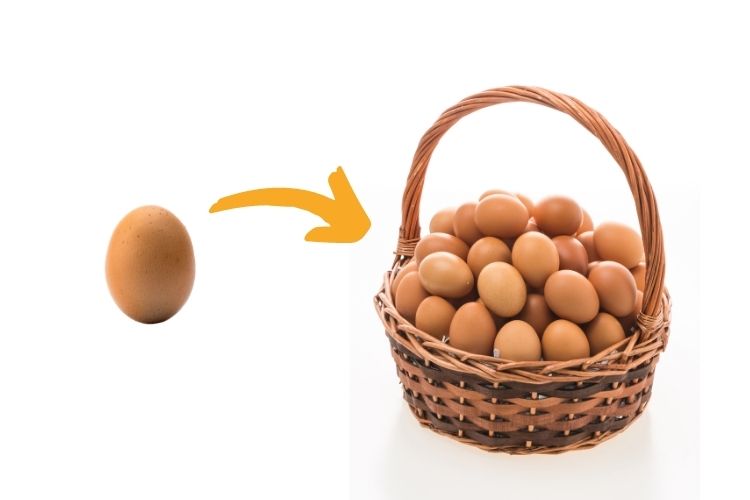 雞蛋與籃子